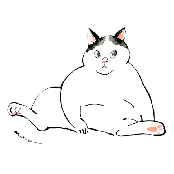 西田 真魚 の作品